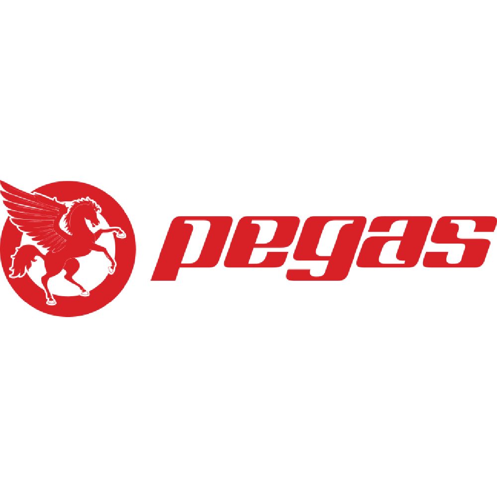 Bicicleta Pegas Logo